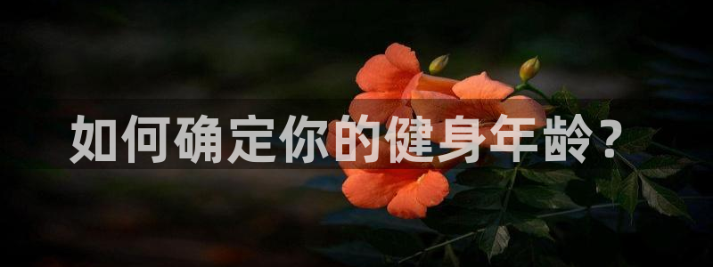 意昂2招商
