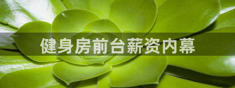 意昂2招商