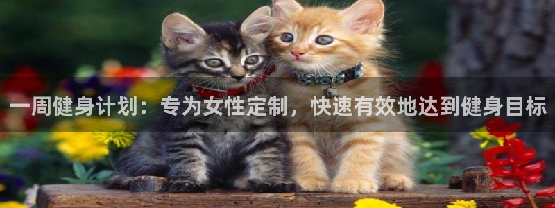 意昂2招商