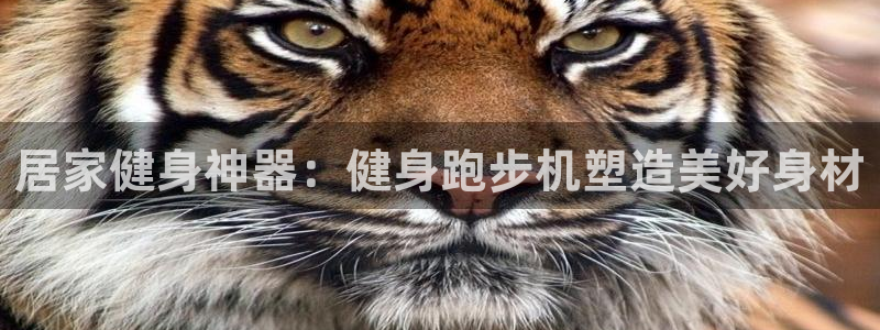 意昂2注册