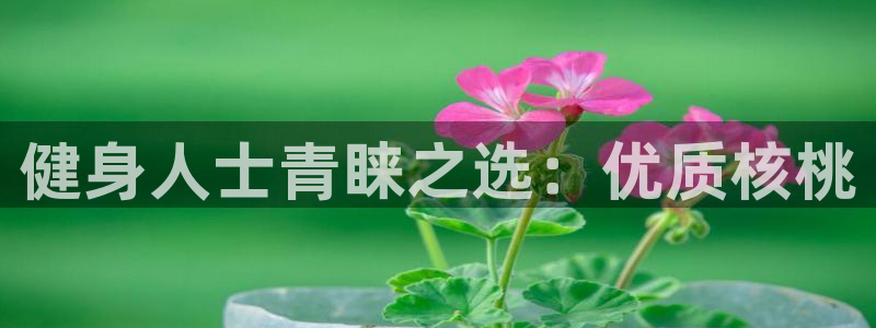 意昂2官网