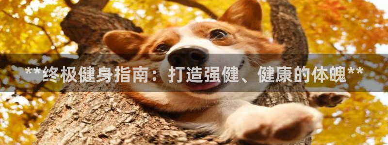 意昂2代理