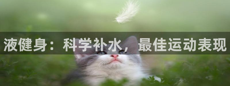 意昂2平台