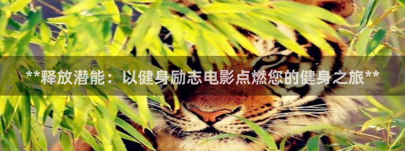 意昂2官方平台