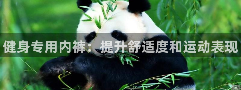 意昂2娱乐