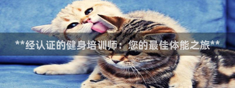 意昂2官方网站