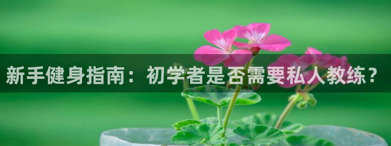 意昂2平台