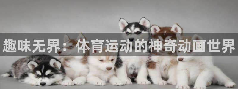 oety欧亿