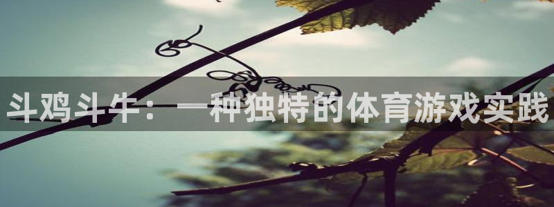oety欧亿