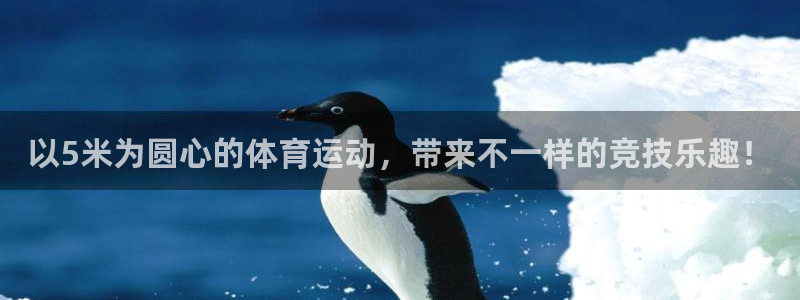 oety欧亿：以5米为圆心的体育运动，带来不一样的竞技乐趣！