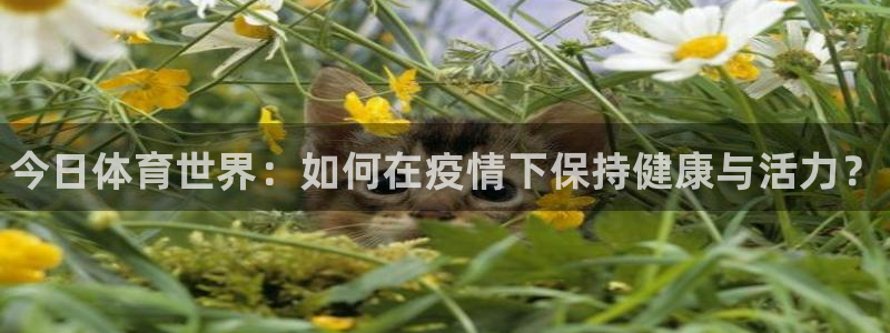oety欧亿：今日体育世界：如何在疫情下保持健康与活力？