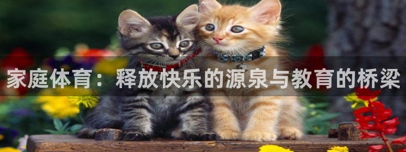 oety欧亿：家庭体育：释放快乐的源泉与教育的桥梁