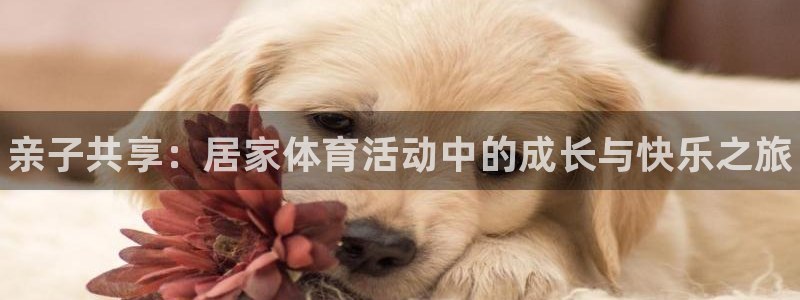 oety欧亿：亲子共享：居家体育活动中的成长与快乐之旅