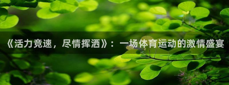 oety欧亿：《活力竞速，尽情挥洒》：一场体育运动的激情盛宴