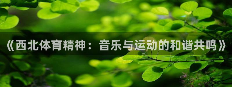 oety欧亿：《西北体育精神：音乐与运动的和谐共鸣》