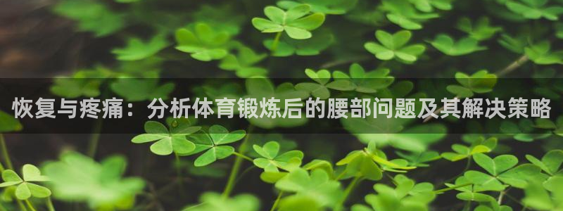 oety欧亿：恢复与疼痛：分析体育锻炼后的腰部问题及其解决策略