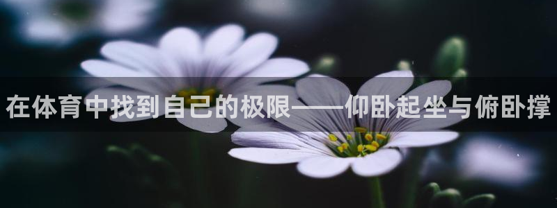 oety欧亿