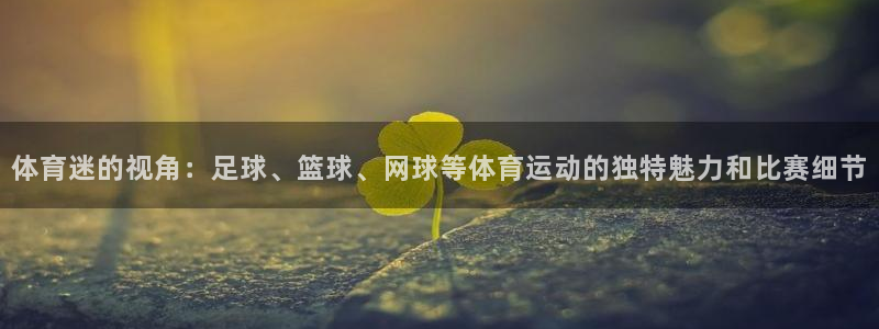 oety欧亿：体育迷的视角：足球、篮球、网球等体育运动的独特魅力和比赛细节