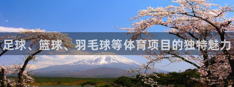 oety欧亿：足球、篮球、羽毛球等体育项目的独特魅力