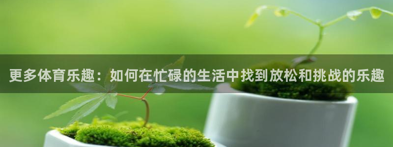 oety欧亿：更多体育乐趣：如何在忙碌的生活中找到放松和挑战的乐趣