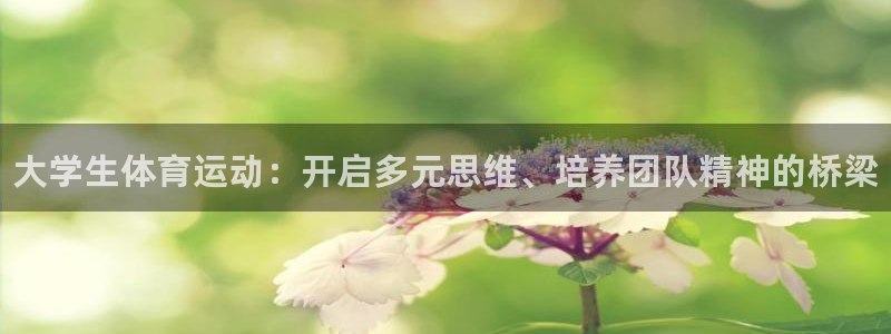 oety欧亿：大学生体育运动：开启多元思维、培养团队精神的桥梁