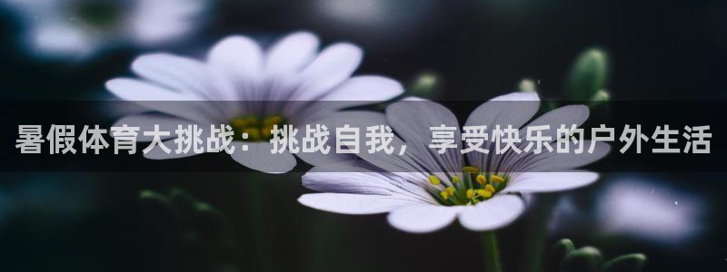oety欧亿：暑假体育大挑战：挑战自我，享受快乐的户外生活