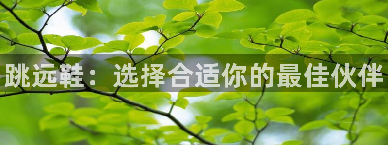 oety欧亿：跳远鞋：选择合适你的最佳伙伴