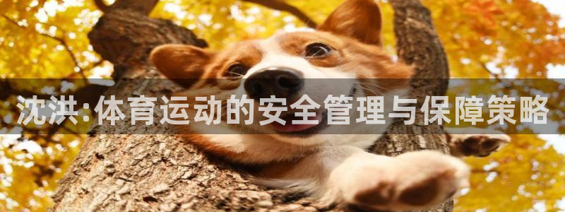 oety欧亿