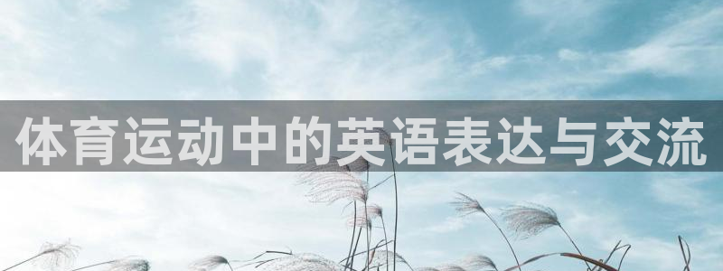 oety欧亿