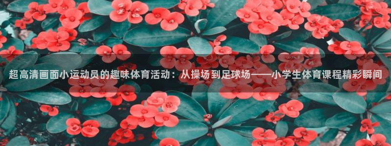 oety欧亿：超高清画面小运动员的趣味体育活动：从操场到足球场——小学生体育课程精彩瞬间