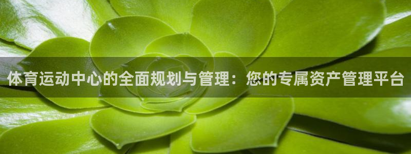 oety欧亿：体育运动中心的全面规划与管理：您的专属资产管理平台