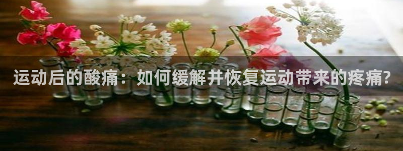 oety欧亿：运动后的酸痛：如何缓解并恢复运动带来的疼痛?